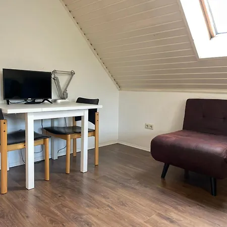 Проживание в семье Yellow House